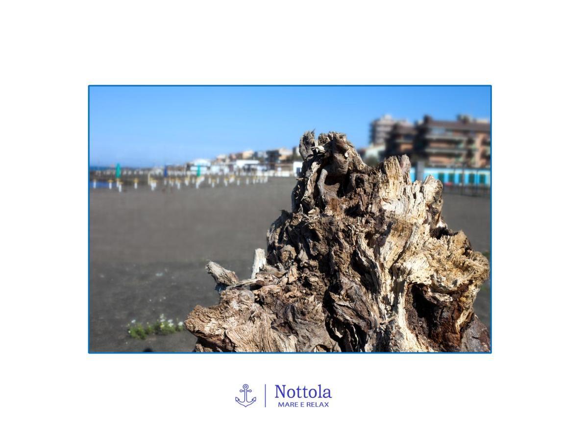Nottola B&B Ladispoli Bagian luar foto